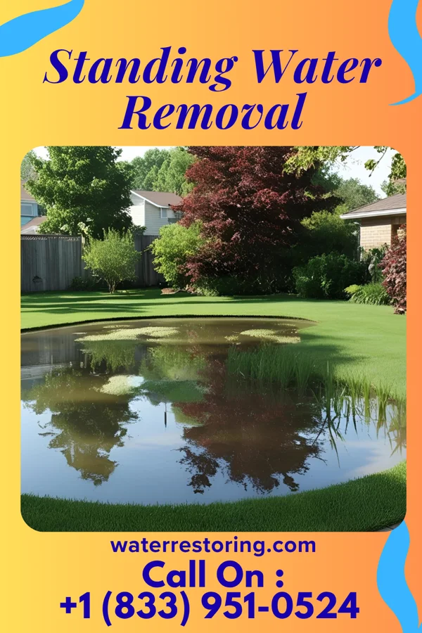 Standing Water Removal in Bagnell, MO